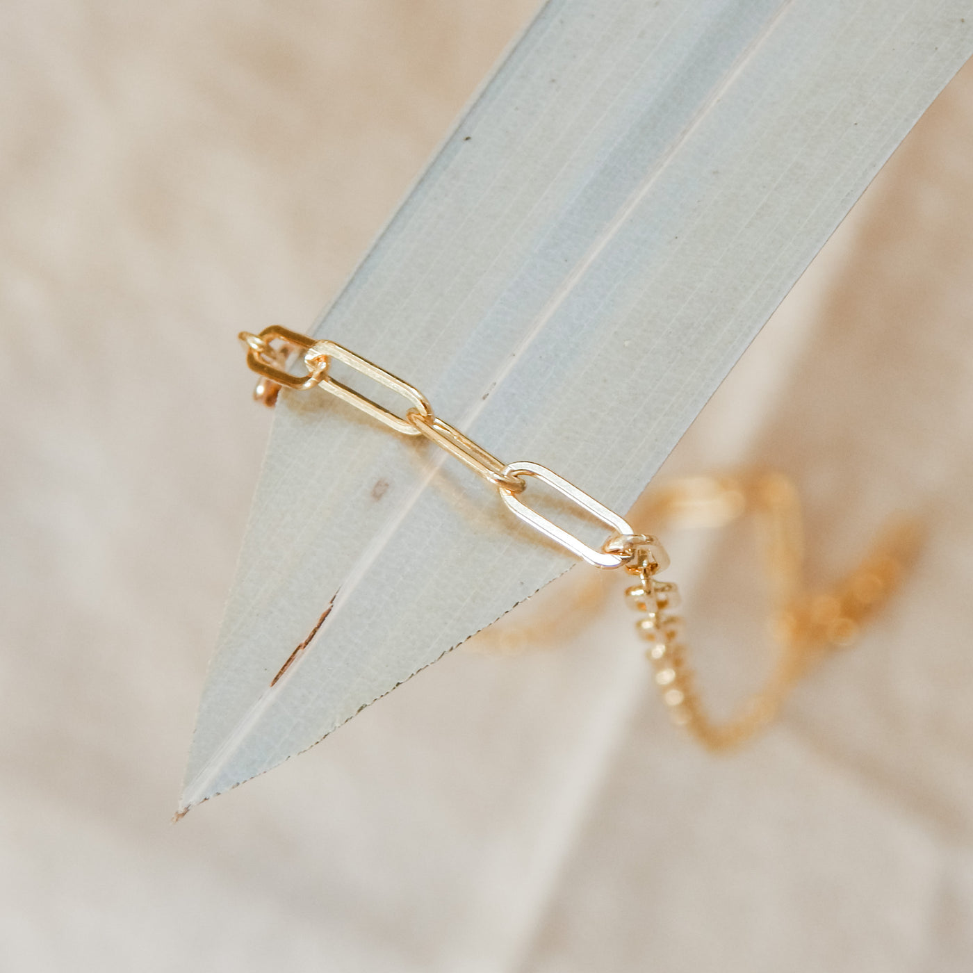 Paperclip Necklace