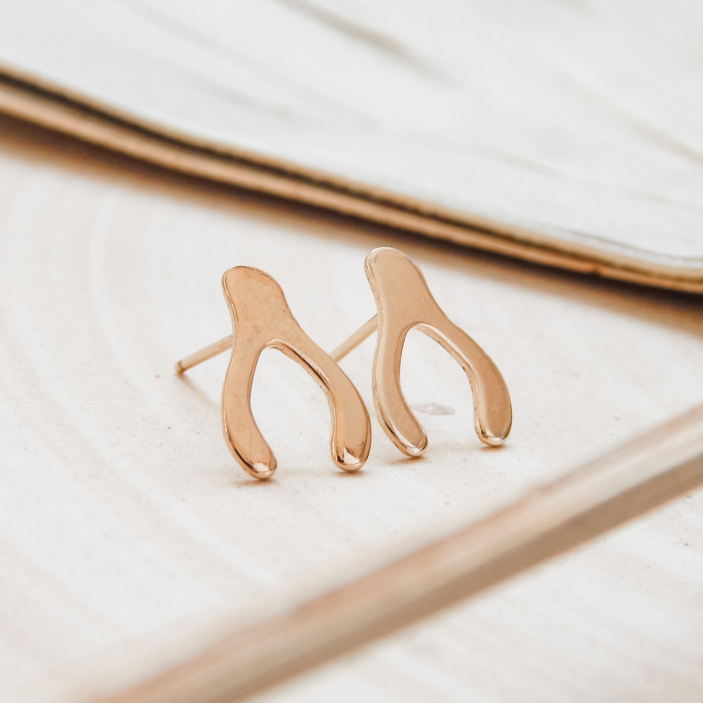 Wishbone Stud Earrings